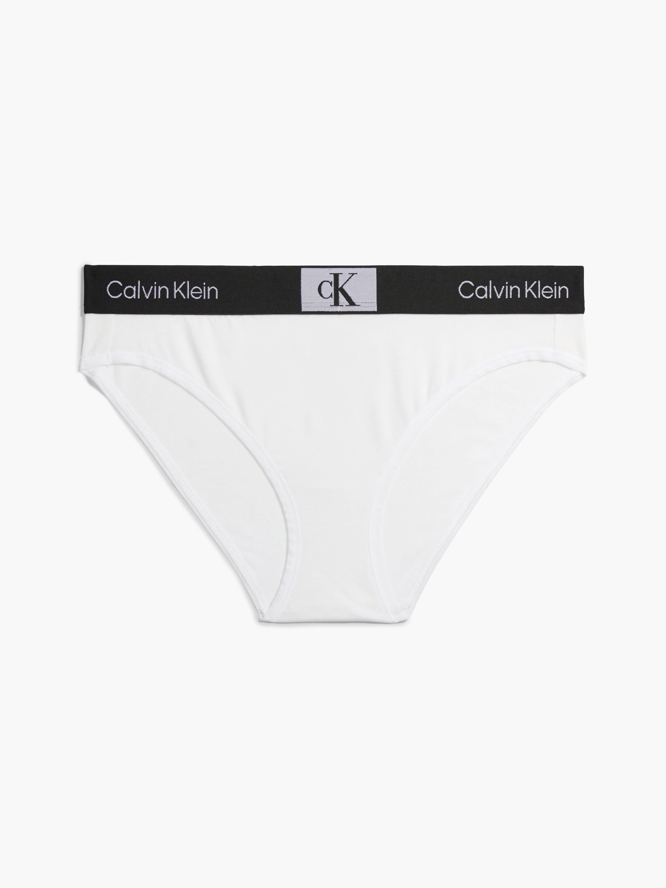 Calvin Klein Sheer Marquisette Brief In White – Mish